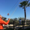 ZIPLINE CANOPY+ATV+HORSEBACK ON THE BEACH+BUFADORA/FLEA MARKET  The Big Enchilada super Tour! - Imagen 17