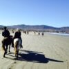 ZIPLINE CANOPY+ATV+HORSEBACK ON THE BEACH+BUFADORA/FLEA MARKET  The Big Enchilada super Tour! - Imagen 6
