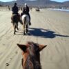 ZIPLINE CANOPY+ATV+HORSEBACK ON THE BEACH+BUFADORA/FLEA MARKET  The Big Enchilada super Tour! - Imagen 5