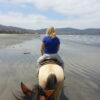 ZIPLINE CANOPY+ATV+HORSEBACK ON THE BEACH+BUFADORA/FLEA MARKET  The Big Enchilada super Tour! - Imagen 18