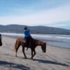 ZIPLINE CANOPY+ATV+HORSEBACK ON THE BEACH+BUFADORA/FLEA MARKET  The Big Enchilada super Tour! - Imagen 16