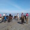 ZIPLINE CANOPY+ATV+HORSEBACK ON THE BEACH+BUFADORA/FLEA MARKET  The Big Enchilada super Tour! - Imagen 9